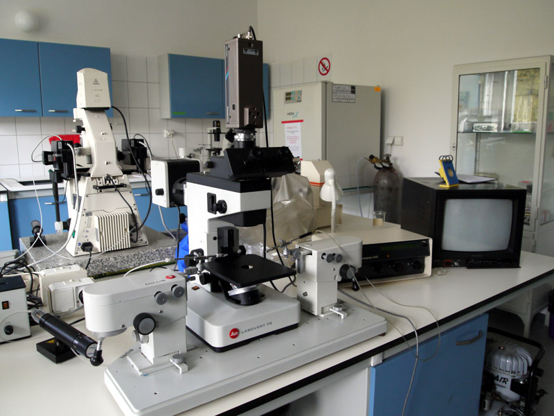Labovert z manipulatorami